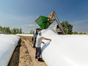 Silo Bolsas: innovación en almacenamiento con respaldo asegurado