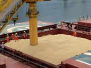 El Crushing de soja vuelvea máximos históricos