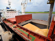 La agroindustria argentina exportó a más de 130 paises en 2024