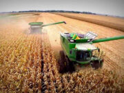 “La solucion a las grandes problematicas del pais,esta en nuestro campo”