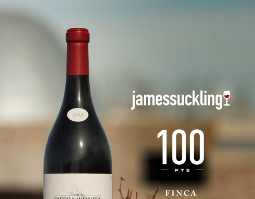 Unico vino argentino con 100 puntos Unico vino argentino con 100 puntos