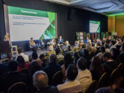 El futuro de las legumbres en Argentina: Desafíos y oportunidades en un mercado globalizado El futuro de las legumbres en Argentina: Desafíos y oportunidades en un mercado globalizado