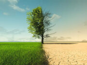 La FAUBA en la agenda del Cambio Climático La FAUBA en la agenda del Cambio Climático