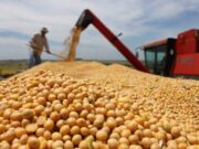 Por la baja permanente de retenciones, el agro proyecta un 8% más de producción y 28.800 millones de dólares extra a 10 años La agro exportación ingresó u$s 760 millones de dólares en noviembre