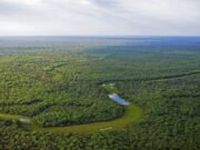 UBA y FAO firmaron un acuerdo para investigar la regeneración de bosques en el Parque Chaqueño en FAUBA UBA y FAO firmaron un acuerdo para investigar la regeneración de bosques en el Parque Chaqueño en FAUBA