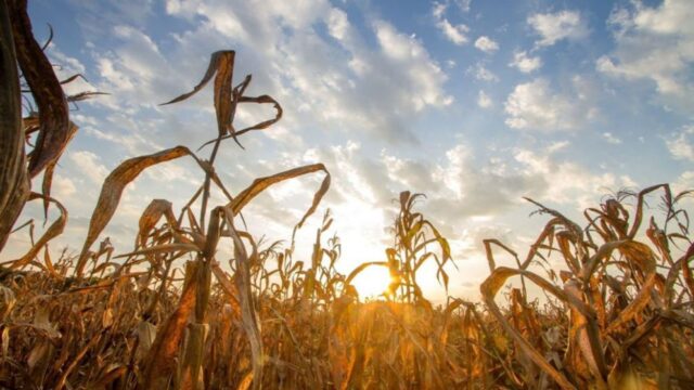 679a6af5aec68_992_558!