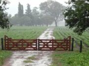 La dinámica de lluvias relativiza el impacto de la “Niña” que se confirma leve y corta El julio más lluvioso de los últimos 40 años y cambios en retenciones, ¿más hectáreas o más tecnología?