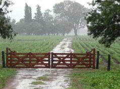 La dinámica de lluvias relativiza el impacto de la “Niña” que se confirma leve y corta El julio más lluvioso de los últimos 40 años y cambios en retenciones, ¿más hectáreas o más tecnología?