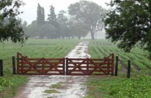 La dinámica de lluvias relativiza el impacto de la “Niña” que se confirma leve y corta El julio más lluvioso de los últimos 40 años y cambios en retenciones, ¿más hectáreas o más tecnología?