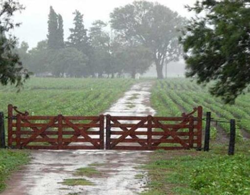 La dinámica de lluvias relativiza el impacto de la “Niña” que se confirma leve y corta El julio más lluvioso de los últimos 40 años y cambios en retenciones, ¿más hectáreas o más tecnología?