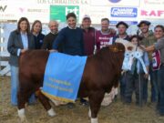 Pullaro: “Cuando se mira al interior productivo, se ve que la República Argentina no tiene techo” Pullaro: “Cuando se mira al interior productivo, se ve que la República Argentina no tiene techo”