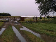 Impacto en la zona núcleo de 48 horas de lluvias Impacto en la zona núcleo de 48 horas de lluvias