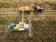 Una nueva lectura del lote con genética moderna Una nueva lectura del lote con genética moderna