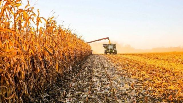 Los productores, otra vez fuera del negocio de la baja de retenciones