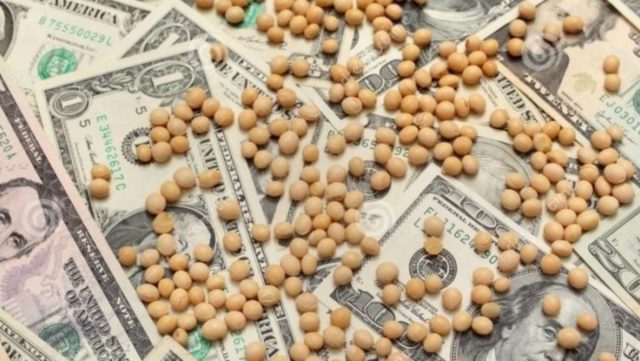 El Gobierno elimina retenciones a los granos hasta el 31 de octubre para atraer dólares
