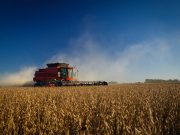 Sustentabilidad, mercados y agroindustria en la 10° edición del Seminario ACSOJA