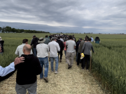 Nidera Semillas realizó una nueva edición de Campo Líder de Trigo en Coronel Bogado