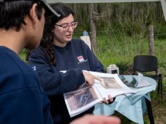 Aliadas aladas: El potencial de las aves nativas para controlar plagas en el agro El potencial de las aves nativas para controlar plagas en el agro