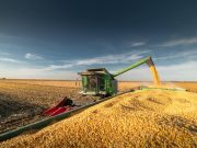 La agro exportación ingresó u$s 7.107 millones de dólares en septiembre La agro exportación ingresó u$s 7.107 millones de dólares en septiembre