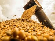 La agro exportación ingresó u$s 1.117 millones de dólares en octubre La agro exportación ingresó u$s 1.117 millones de dólares en octubre