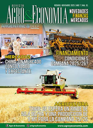 Google search engine