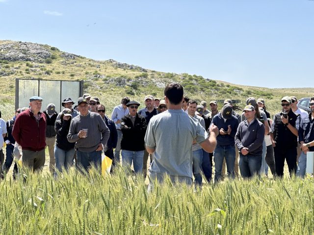Nidera mostró en Tandil el potencial de su genética