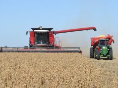 La actividad económica argentina se recuperó 0,1% La actividad económica argentina se recuperó 0,1%