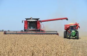 La actividad económica argentina se recuperó 0,1% La actividad económica argentina se recuperó 0,1%