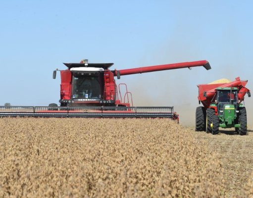 La actividad económica argentina se recuperó 0,1% La actividad económica argentina se recuperó 0,1%