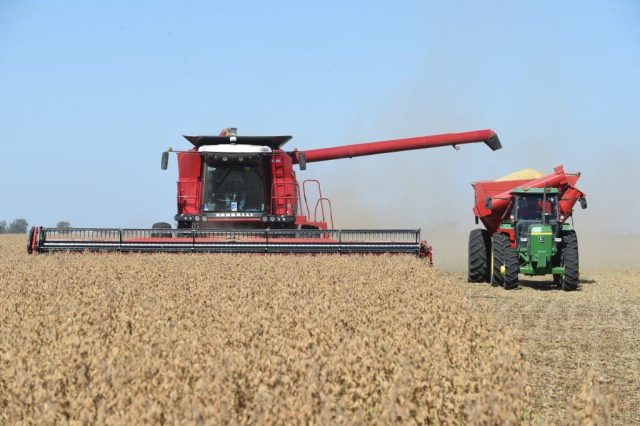 La actividad económica argentina se recuperó 0,1%