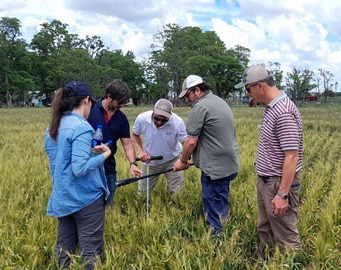 Día Mundial del Suelo: “Suelos sanos para ciudades saludables” Día Mundial del Suelo: “Suelos sanos para ciudades saludables”